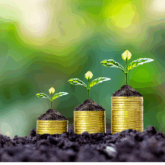 July 2025 News – Asset Fundraising: DAFs, Stocks, and Bequests